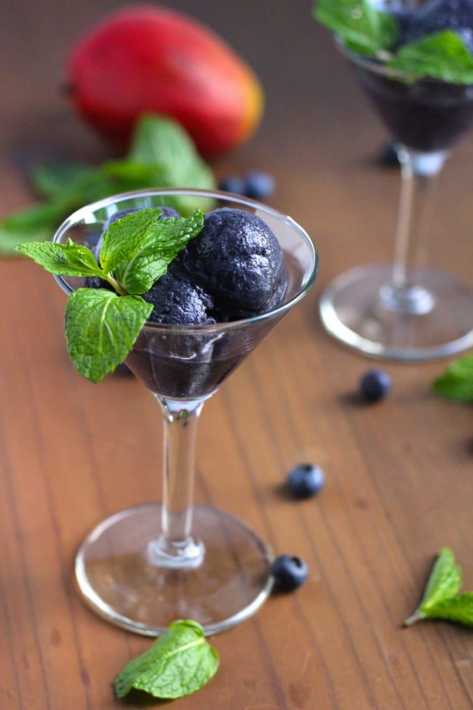 Wild Blueberry Mango Mint Sorbet